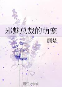 邪魅总裁的萌宠